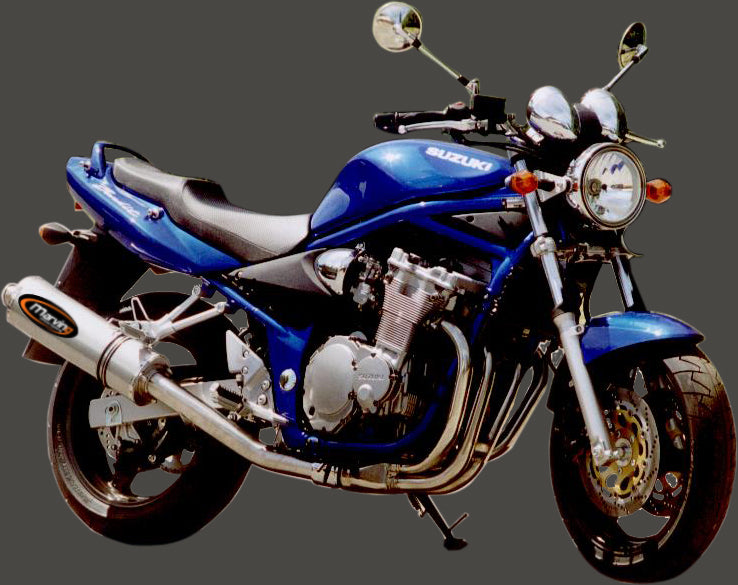 Silencieux Superline 600 BANDIT Big Oval Titane Homologué