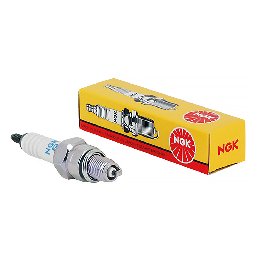 Bougies NGK Ø10mm Cul:19mm File:12.7mm
