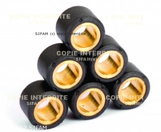 Kit Galets de Variateur x8 Ø28x20 - 27g