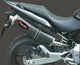 Silencieux Superline HORNET 600 Big Oval Carbone Homologué
