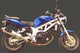 Silencieux Superline SV 650 1999/2002 Big Oval Titane Homologué