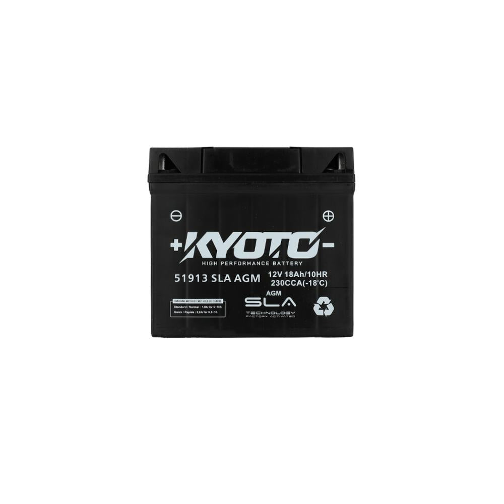 Batterie 51913 SLA AGM