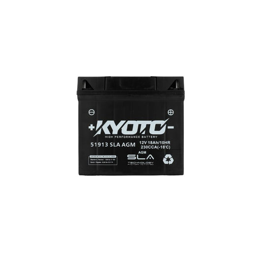 Batterie 51913 SLA AGM