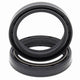 Spy de Fourche BETA X-TRAINER 250 ENDURO 2T 2017-2019 / X-TRAINER 300 ENDURO 2T 2015-2019 / CR 125 R 1994-1996