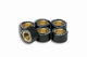 Kit Galets Pour Variateur d'Origine x6 - Ø 20x12 - 10g