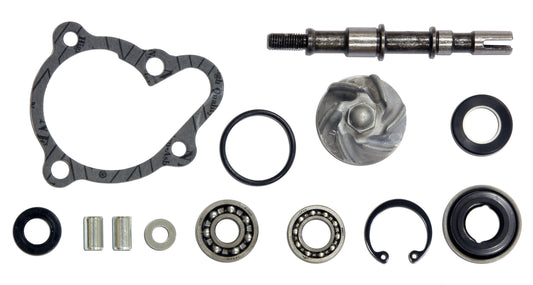Kit Pompe à eau Kymco Dink 250